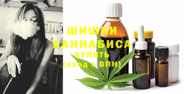амф Медногорск