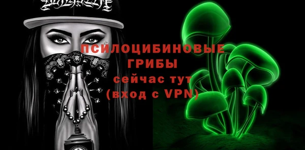 спайс Арсеньев