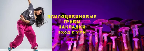 спайс Арсеньев