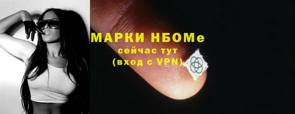 гашик Аркадак