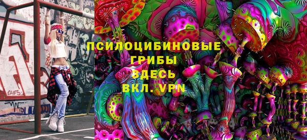 спайс Арсеньев