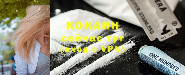 гашик Аркадак