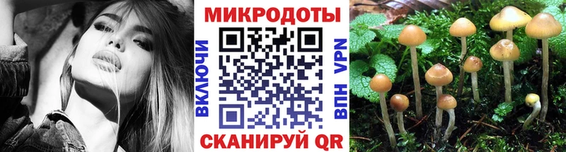Псилоцибиновые грибы прущие грибы  мега ссылки  Баймак 